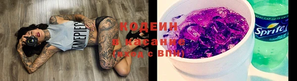 твердый Дмитриев