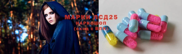 твердый Дмитриев