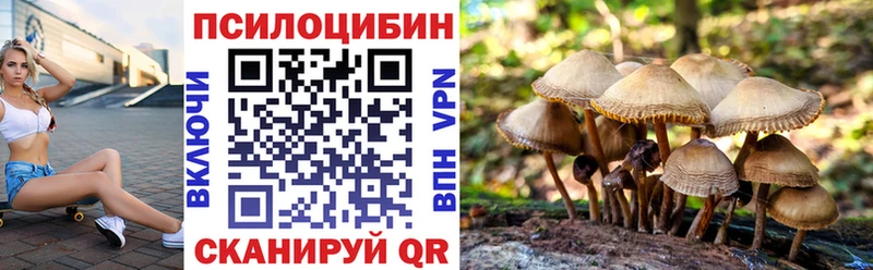 omg ссылки  где продают наркотики  Петров Вал  Галлюциногенные грибы GOLDEN TEACHER 